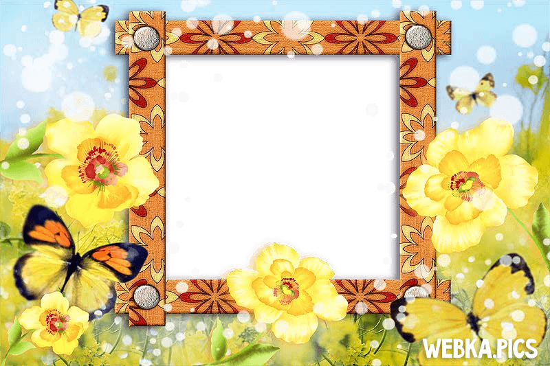 Flower photo frame picture